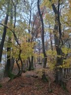 Wanderung Lindelbrunn Nov 2025